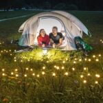 LAST DAY 49% OFF🔥Solar Powered Firefly Garden Light - Image 2