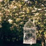 🌳Plant Pulley Set For Garden Baskets Pots, Birds Feeder - Image 16