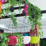 🌳Plant Pulley Set For Garden Baskets Pots, Birds Feeder - Image 3