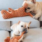 Sale ends in 3 hours / Buy 1 Get 1 Free Today Only - Robust Dino - Dog Toy 2.0 Upgraded Version - Image 7