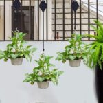 🌳Plant Pulley Set For Garden Baskets Pots, Birds Feeder - Image 8