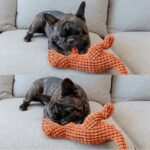 Sale ends in 3 hours / Buy 1 Get 1 Free Today Only - Robust Dino - Dog Toy 2.0 Upgraded Version - Image 8